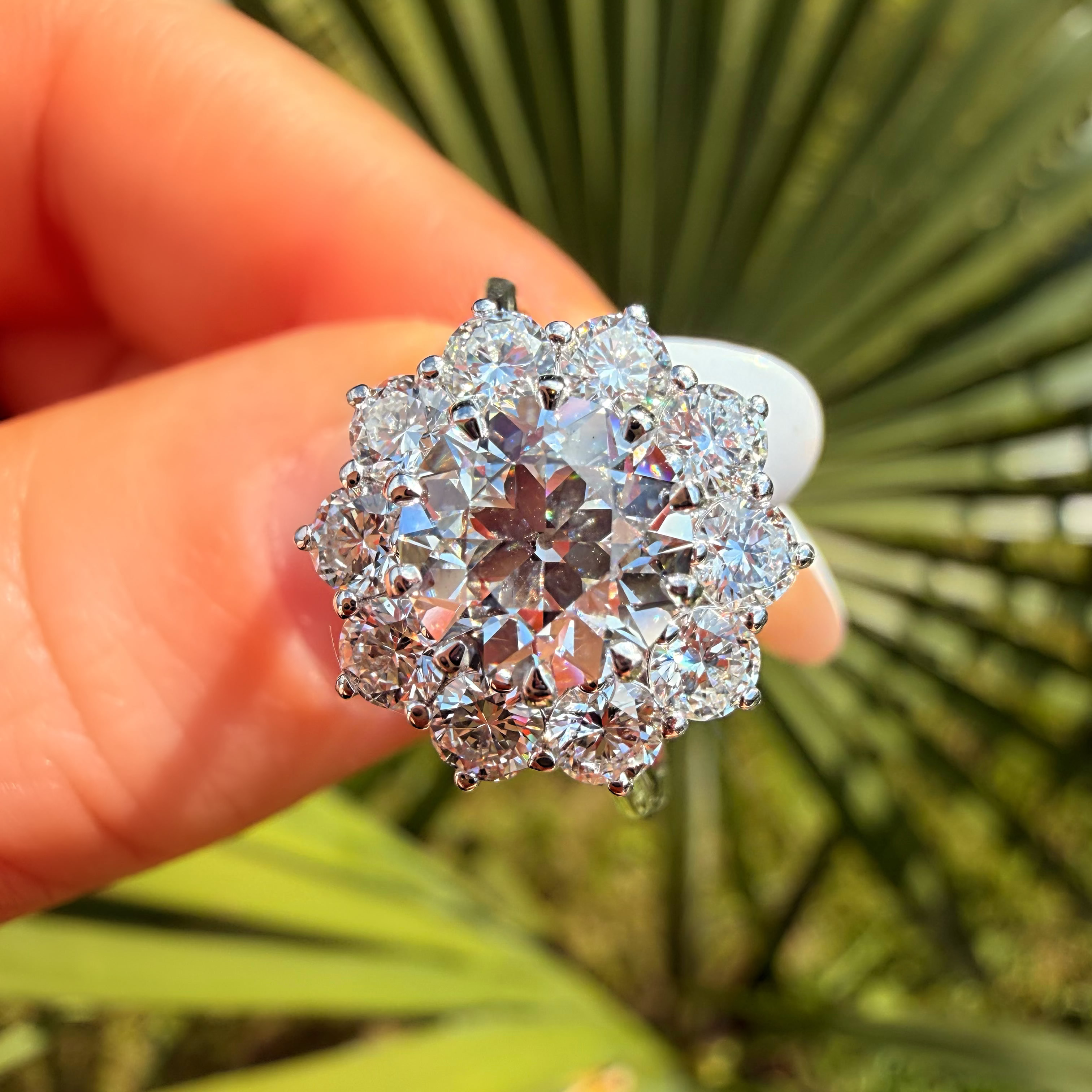 Diamond ring held by a hand with a blurred green leafy background
