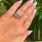 Hand wearing a diamond ring with a green leafy background