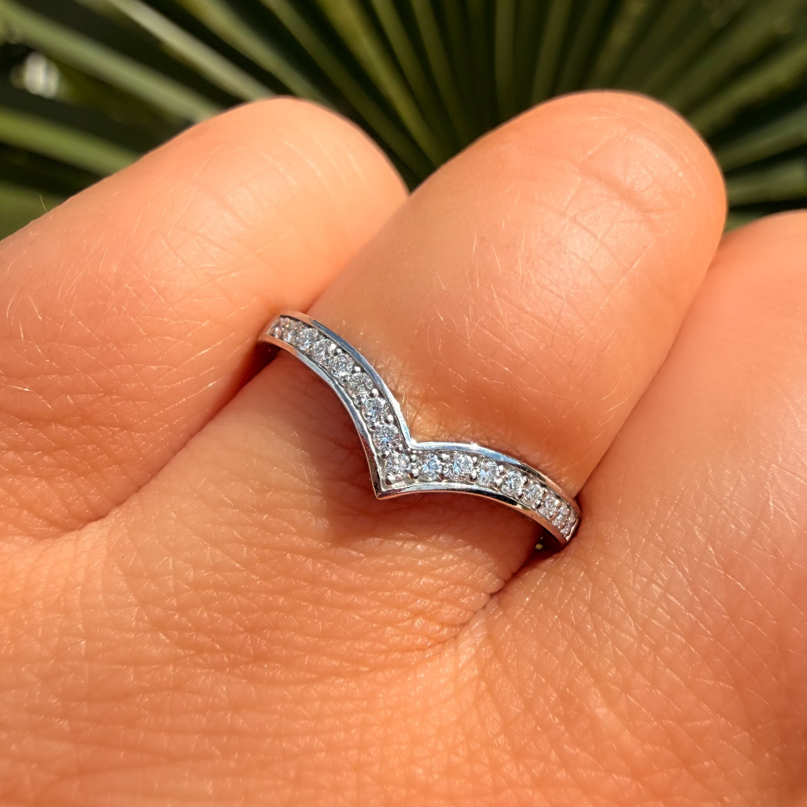 Silver ring with small diamonds on a finger against a green leafy background